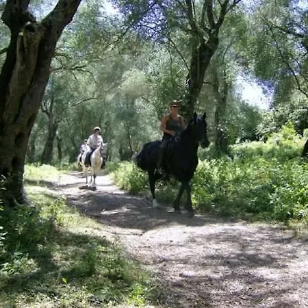 Appartement Votsalo *