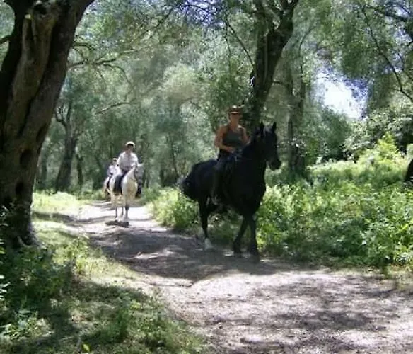 公寓 卡拉米鹅卵石公寓 *